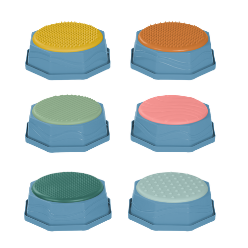 Balance & Hop Stepping Stones
