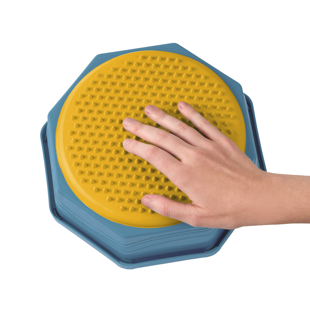 Balance & Hop Stepping Stones