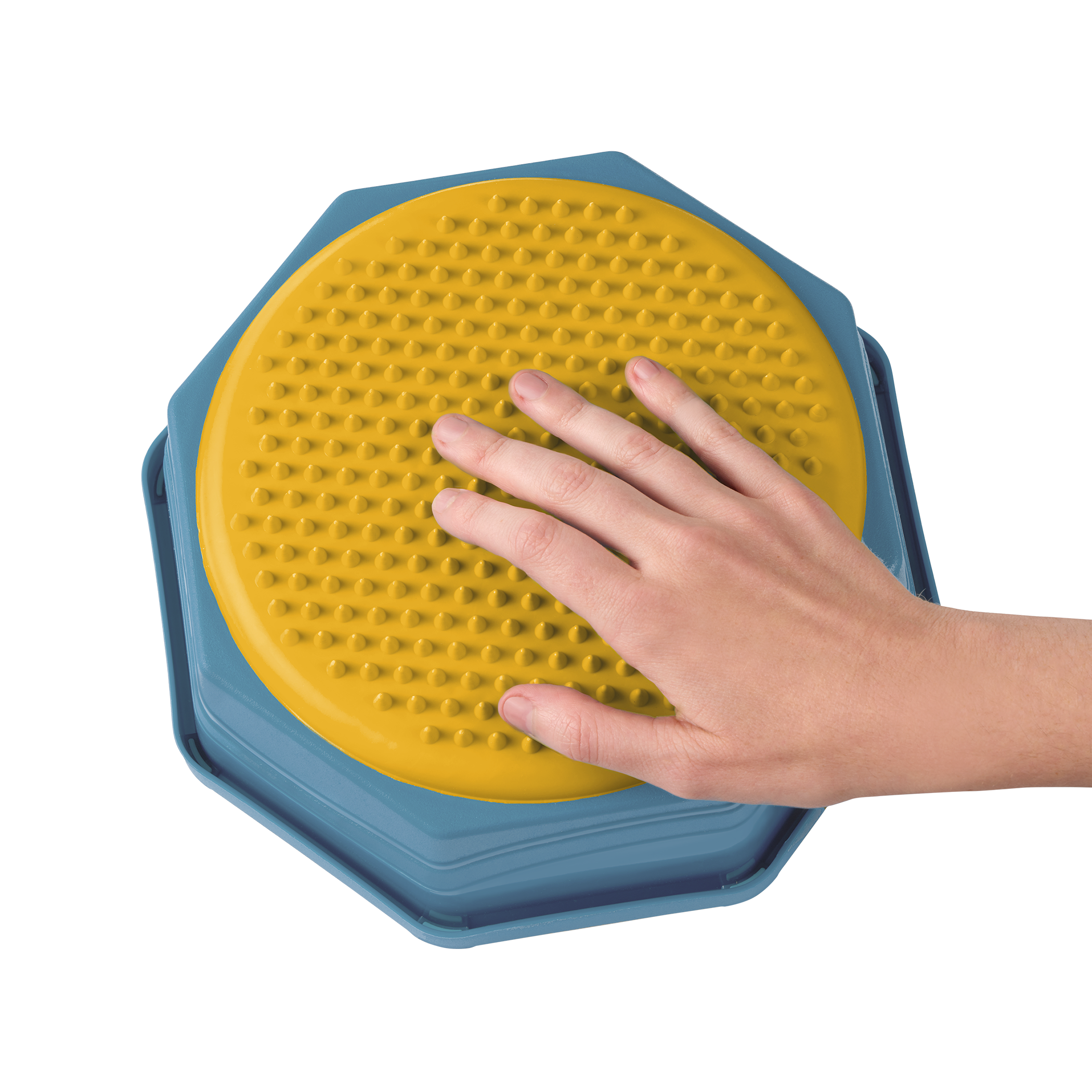 Balance & Hop Stepping Stones