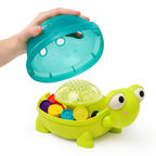 Teaching Turtle