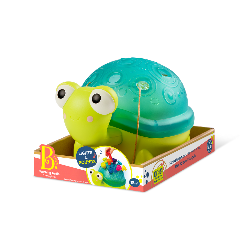 Teaching Turtle