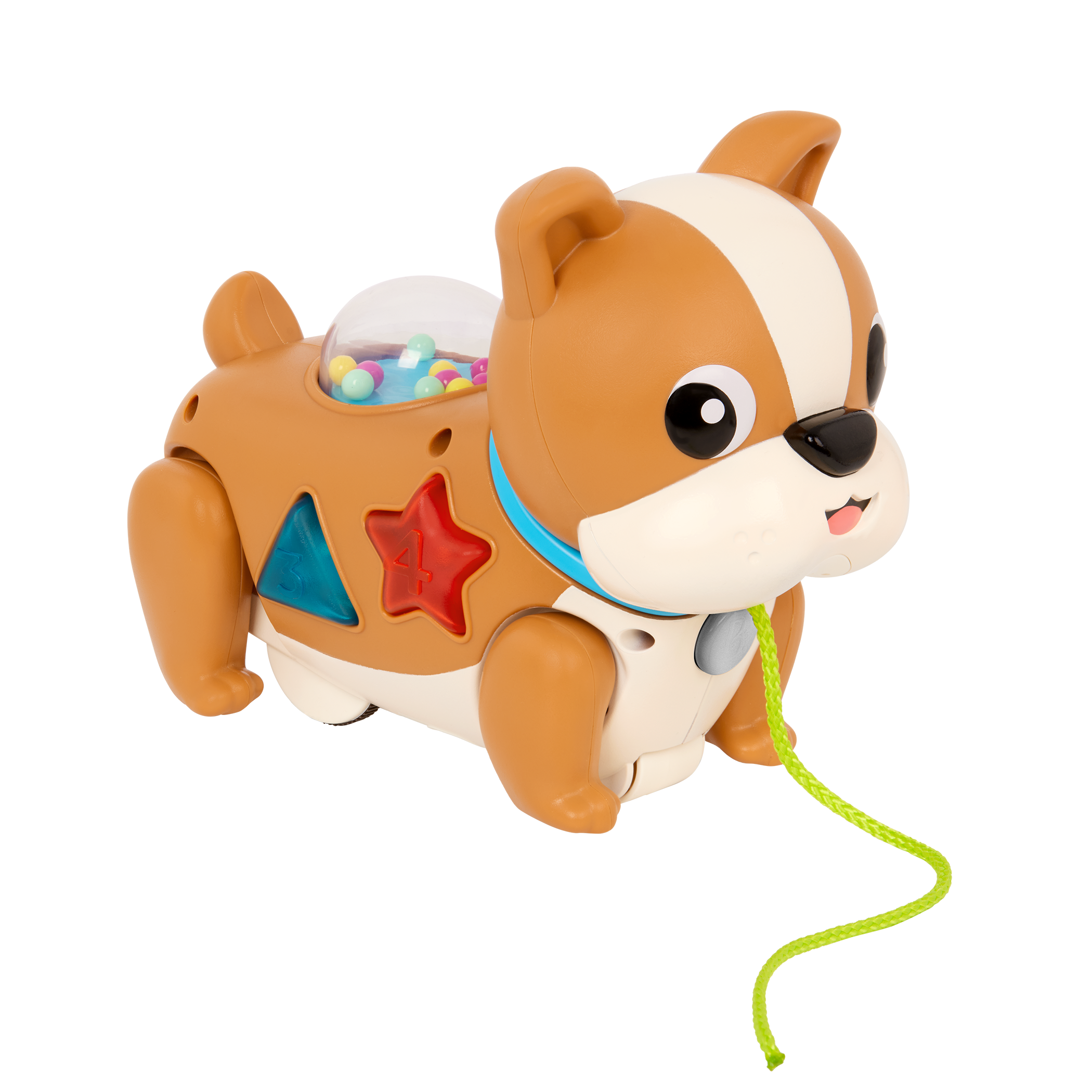 Walk Along Puppy