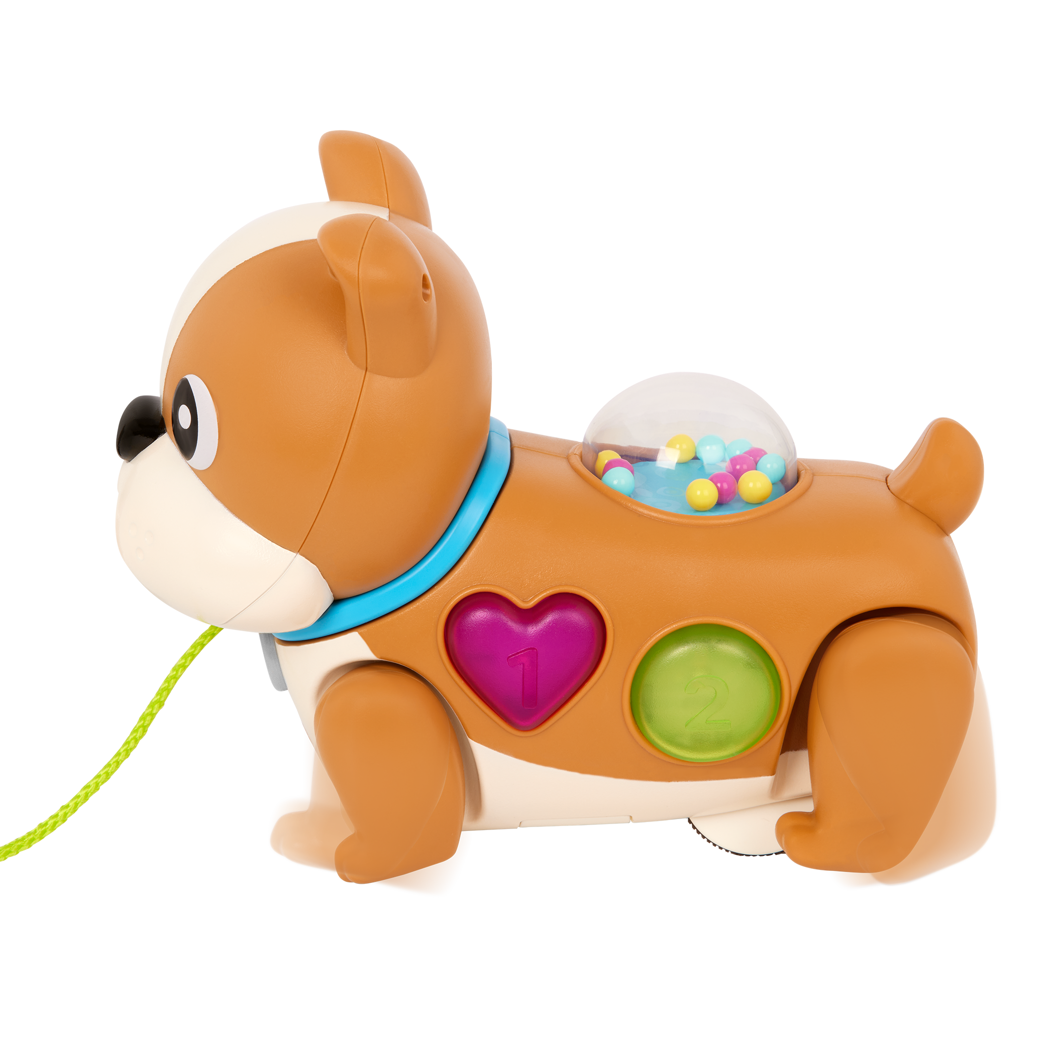Walk Along Puppy