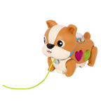 Walk Along Puppy