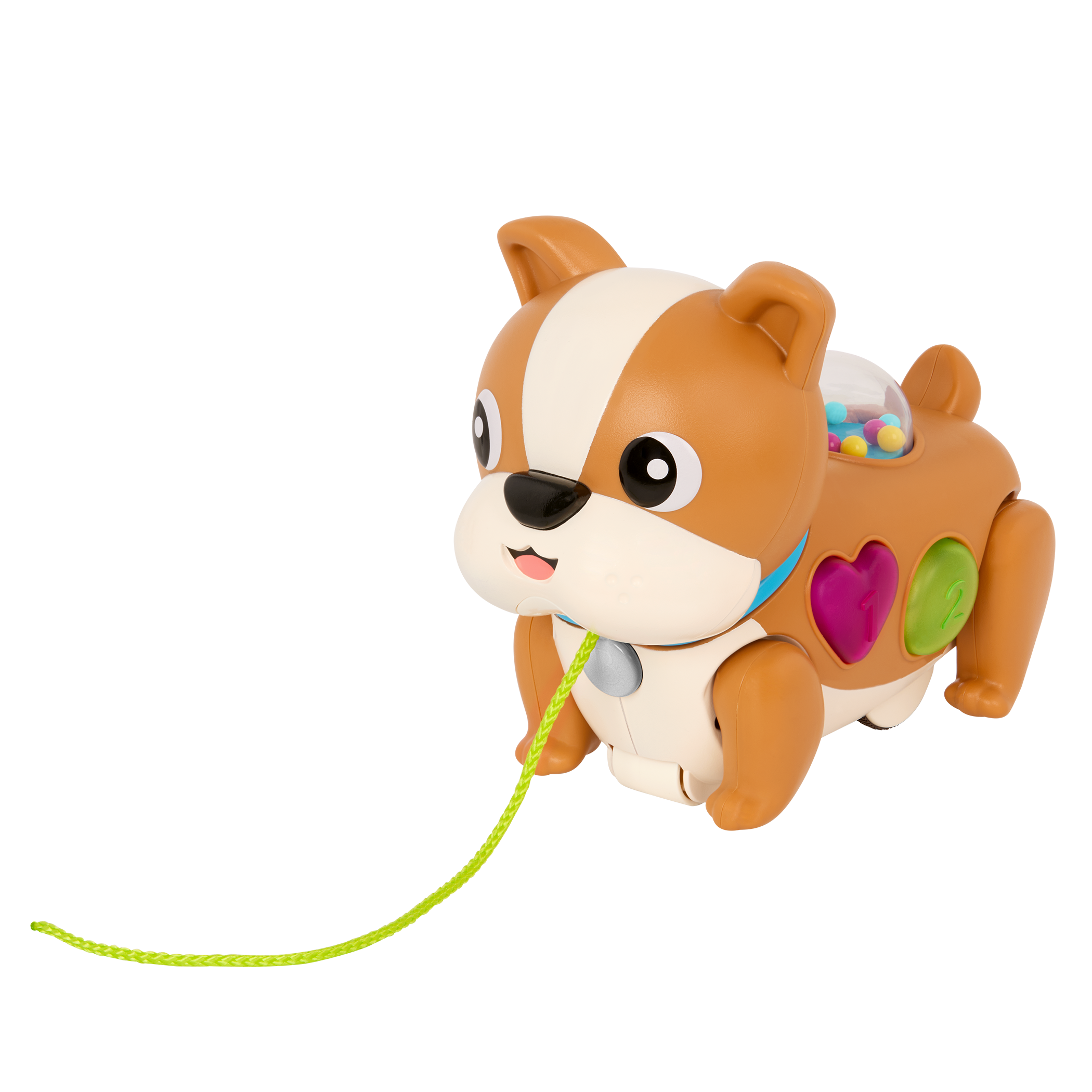 Walk Along Puppy